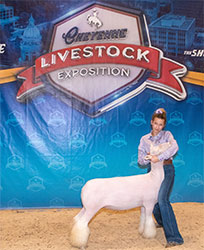 Jeffrey Club Lambs Winners