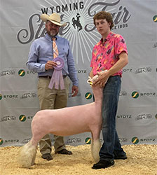 Jeffrey Club Lambs Winners