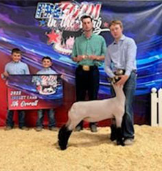 Jeffrey Club Lambs Winners