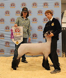 Jeffrey Club Lambs Winners