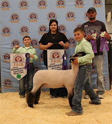 Jeffrey Club Lambs Winners