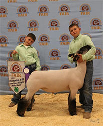 Jeffrey Club Lambs Winners