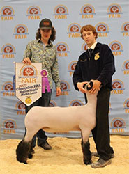 Jeffrey Club Lambs Winners