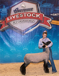 Jeffrey Club Lambs Winners