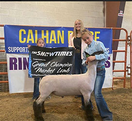 Jeffrey Club Lambs Winners