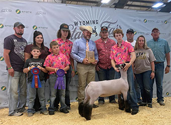 Jeffrey Club Lambs Winners