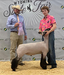 Jeffrey Club Lambs Winners