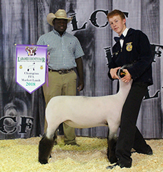 Jeffrey Club Lambs Winners