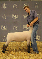 Jeffrey Club Lambs Winners