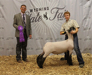 Jeffrey Club Lambs Winners