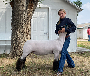 Jeffrey Club Lambs Winners