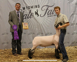 Jeffrey Club Lambs Winners