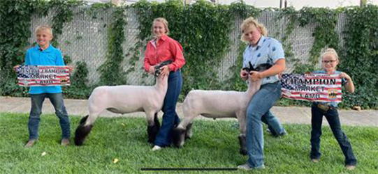 Jeffrey Club Lambs Winners