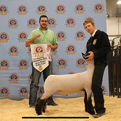 Jeffrey Club Lambs Winners