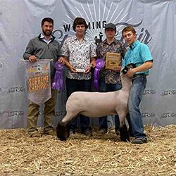 Jeffrey Club Lambs Winners